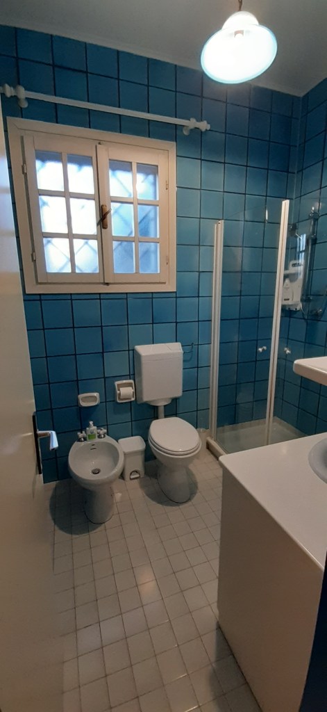 Bright bathroom featuring blue tiled walls, a shower cubicle, toilet, bidet, and sink, with a window allowing natural light.